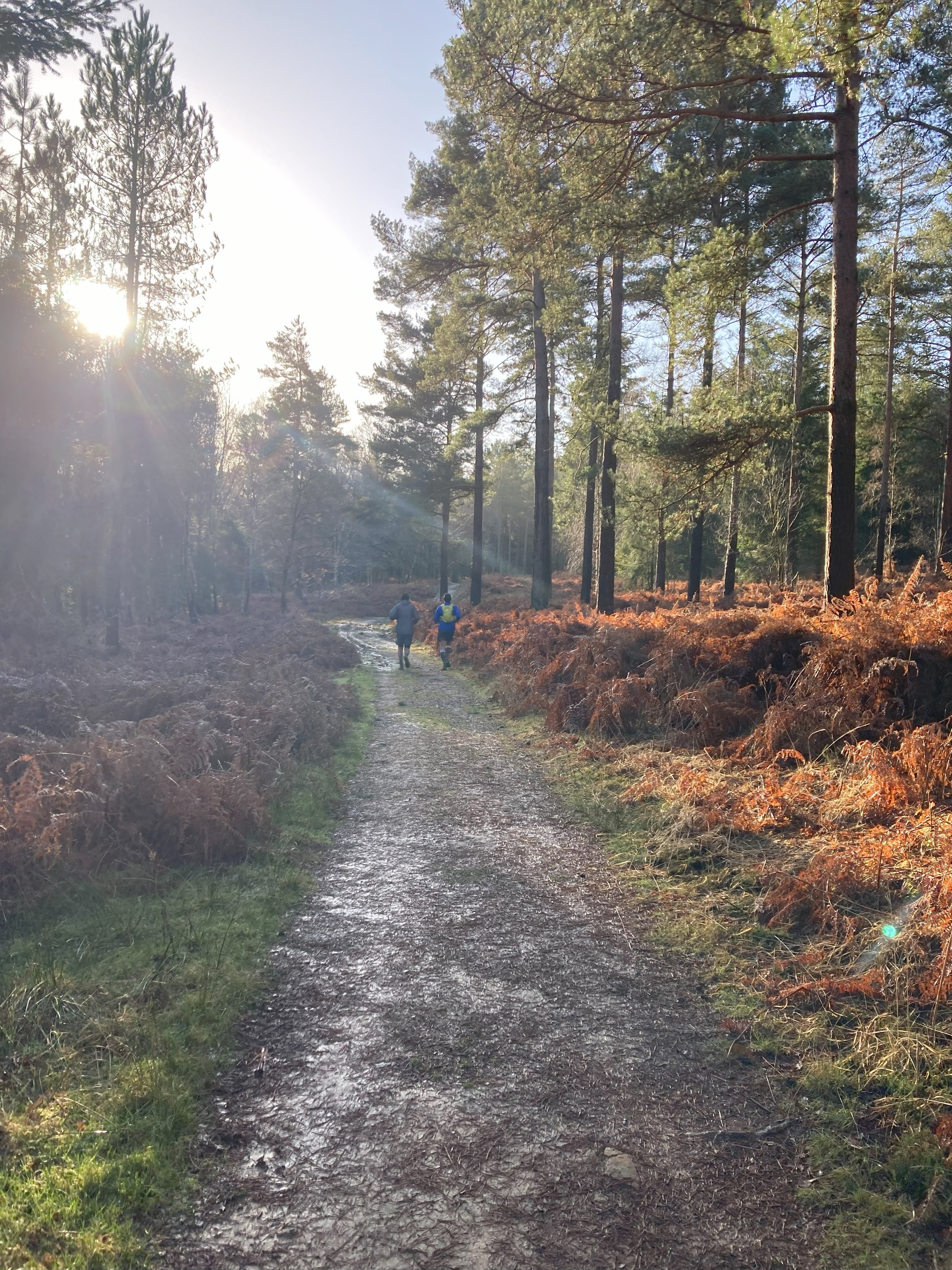 My Spring trail essentials