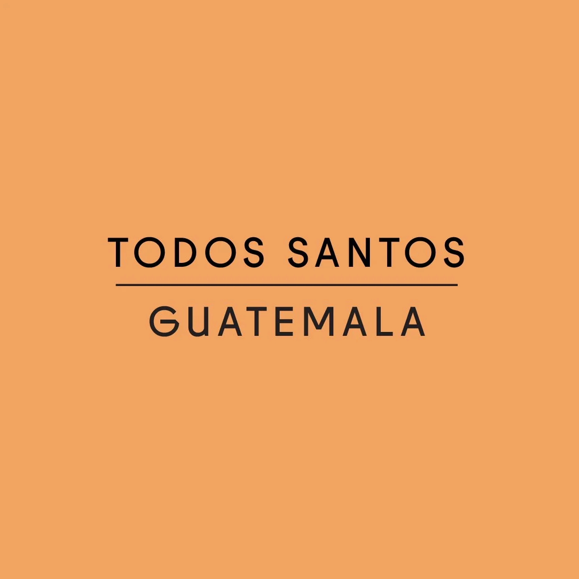 TODOS SANTOS