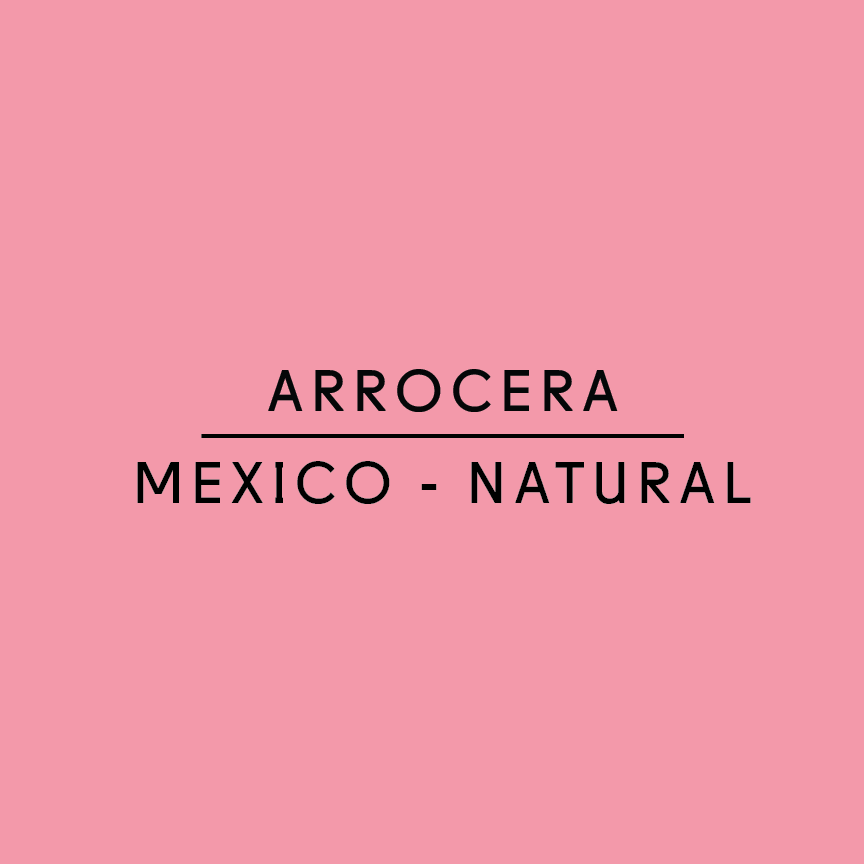 ARROCERA NATURAL