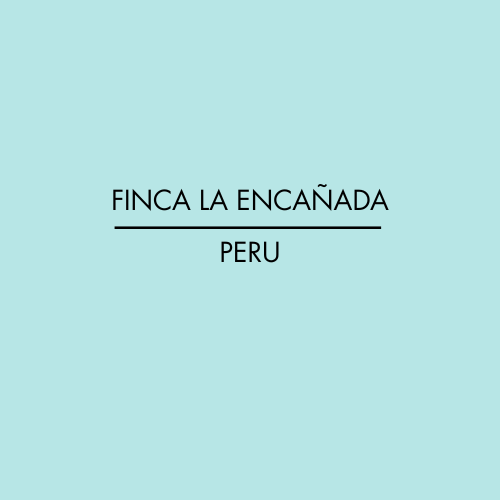 FINCA LA ENCAÑADA