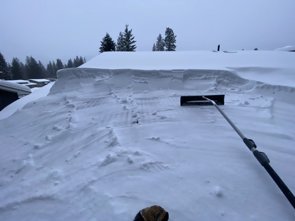 9B1D595E-DDE8-4C1B-8132-F29512229545_1_105_c.jpeg
