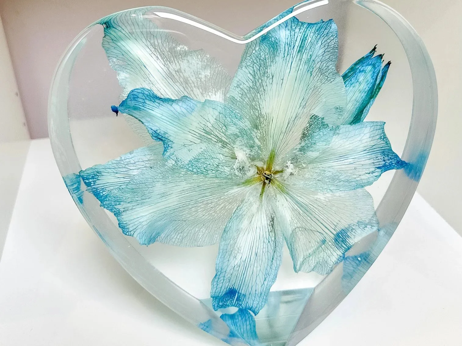 Do Flowers Change Colour When Preserved?