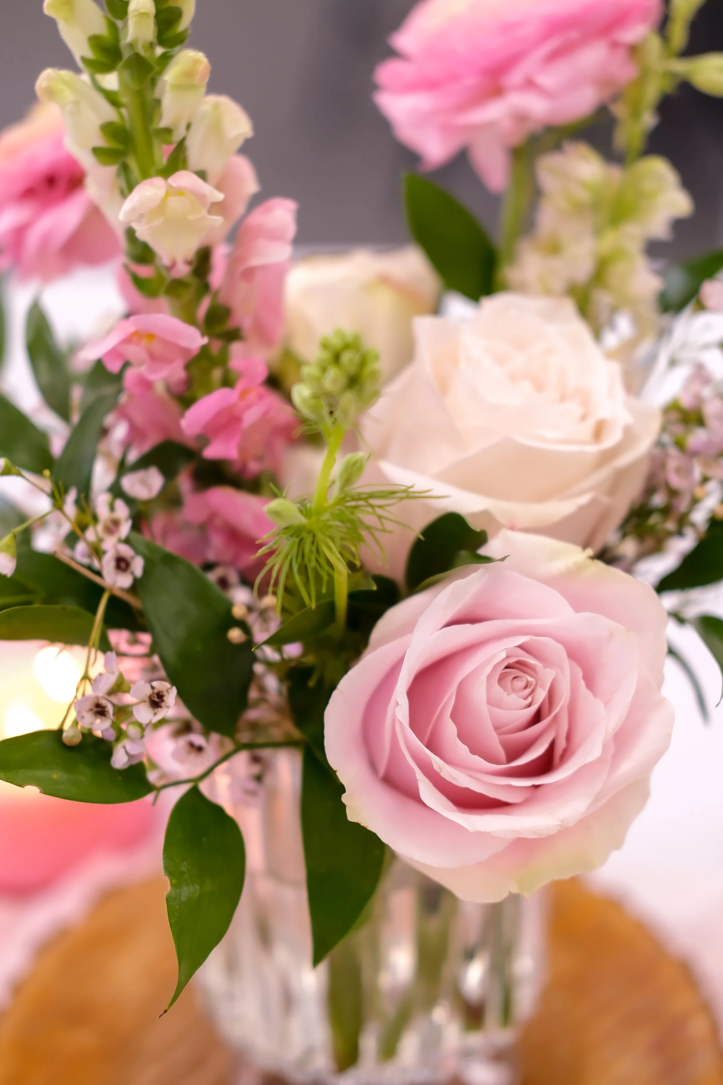 DSCF5343.JPG