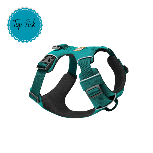 A Comprehensive Guide to Choosing and Fitting a Dog Harness Enhancing Comfort and Health — K9