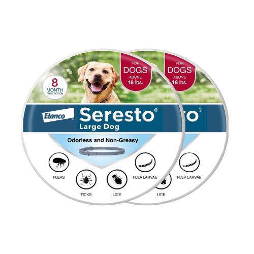 Top Tick Prevention Products for Dogs Your Guide to a PestFree Pup