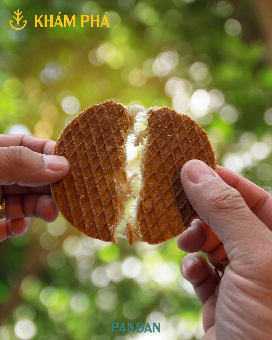 Pandan (6 Waffles)