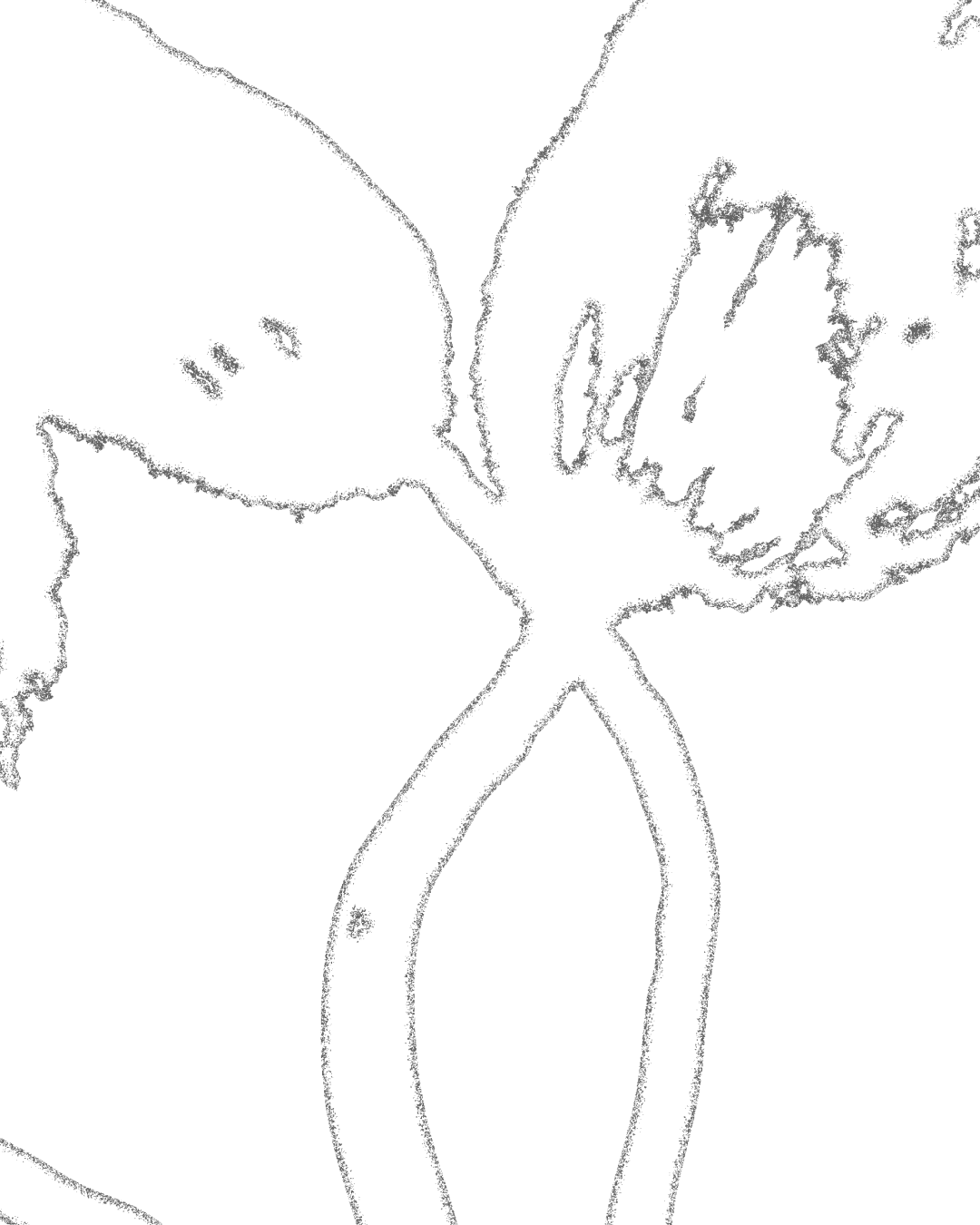 16.png