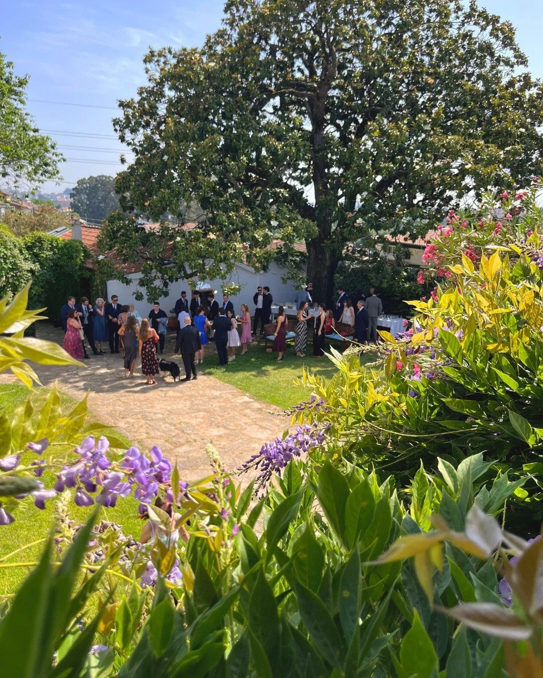 Um fim de semana como gostamos: c&eacute;u azul, boa energia e muitos brindes ao amor! 🥂🌞
Obrigado a todos os que escolheram o nosso espa&ccedil;o para celebrar momentos t&atilde;o especiais. Que venham mais dias assim! ✨

A weekend just the way we