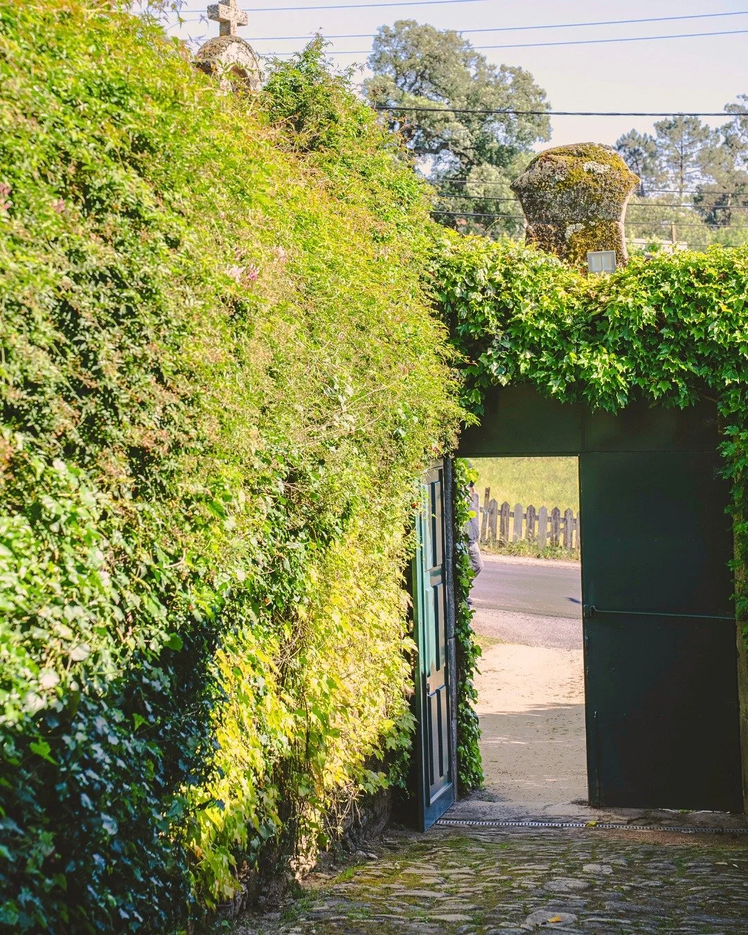 Pronto para viver momentos &uacute;nicos? A entrada &eacute; por aqui! 🌿✨

Ready to experience unique moments? The entrance is right here! 🌿✨

#wedding #portugaldestinationwedding #2026wedding #weddinginspiration #casamento2026 #summerwedding
#outd
