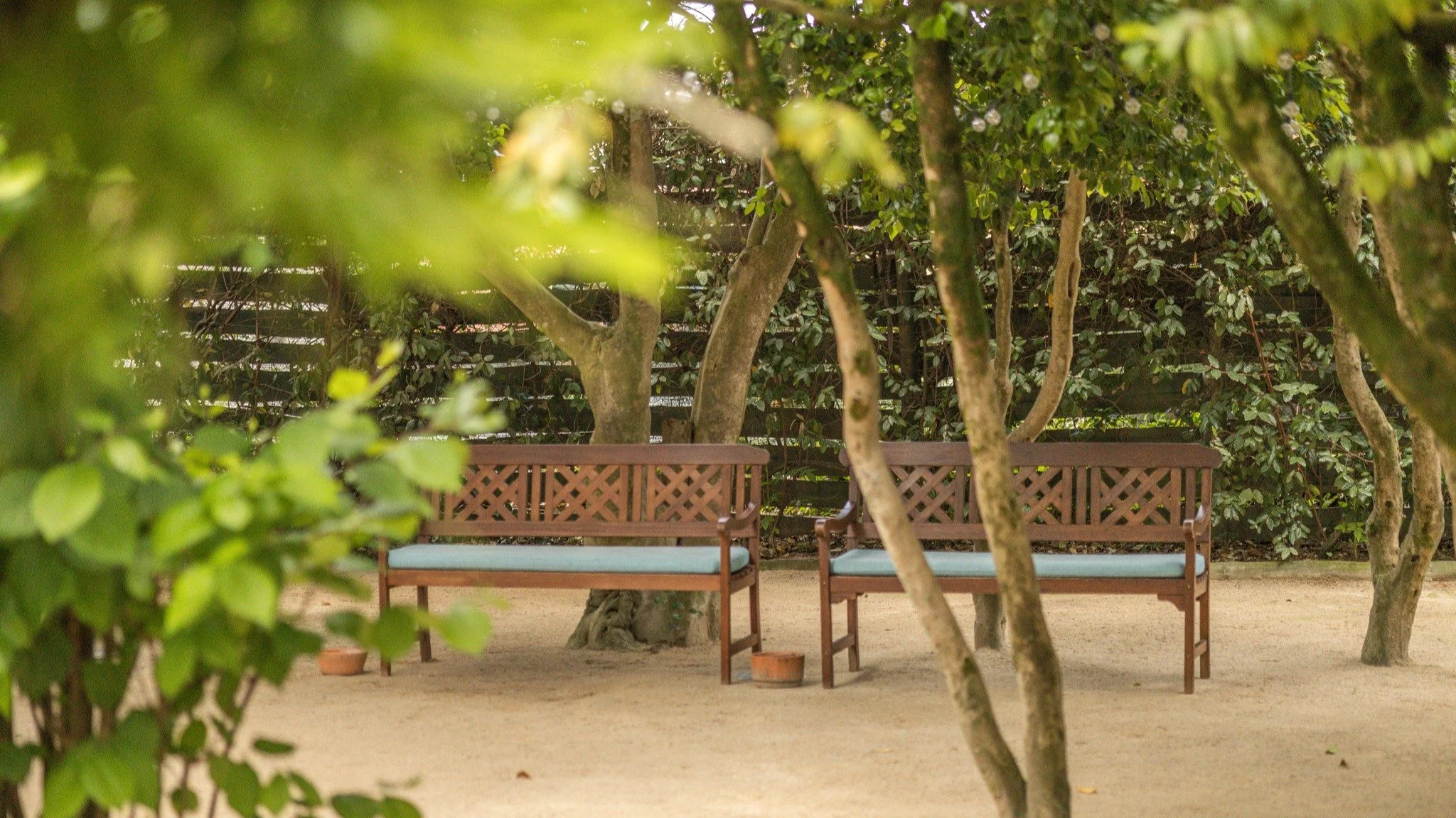 O lugar ideal para celebrar momentos &uacute;nicos 🌿🤍 
Marque a sua visita! ✨

The perfect place to celebrate unique moments 🌿🤍
Book your visit! ✨

#wedding #portugaldestinationwedding #2026wedding #weddinginspiration #casamento2026 #summerweddin