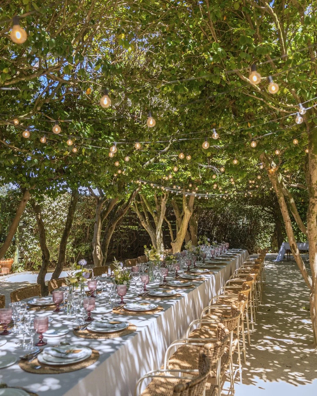 Um jardim natural elegante, pensado ao detalhe para receber momentos especiais! ✨

An elegant natural garden, thoughtfully designed to host special moments! ✨

#wedding #portugaldestinationwedding #2026wedding #weddinginspiration #casamento2026 #summ