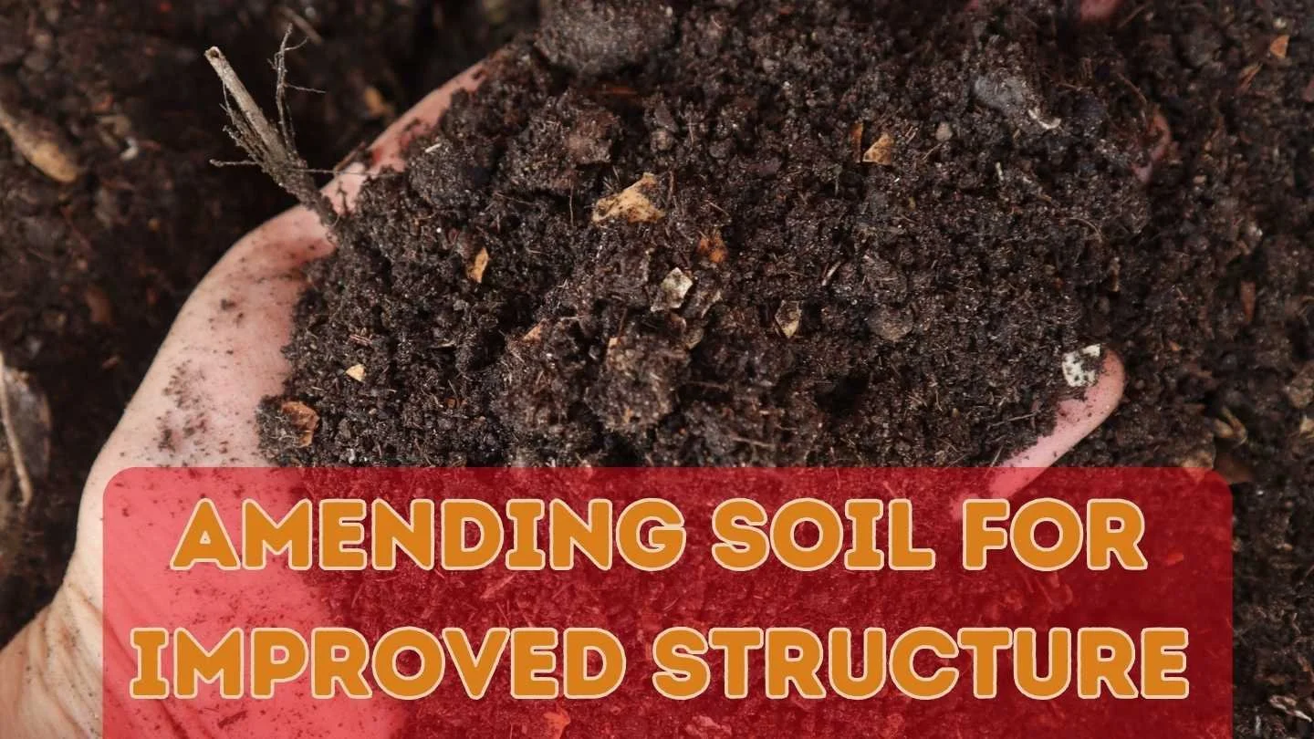 Hands holding soil with amendments in it with text that reads, "Amending soil for improved structure"
