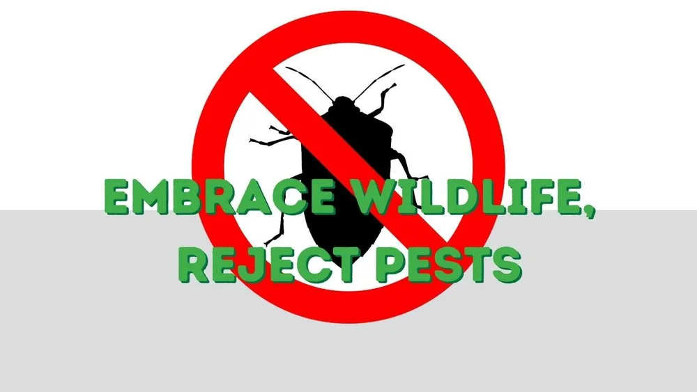 Keeping Your Water Feature WildlifeFriendly Managing Pests and