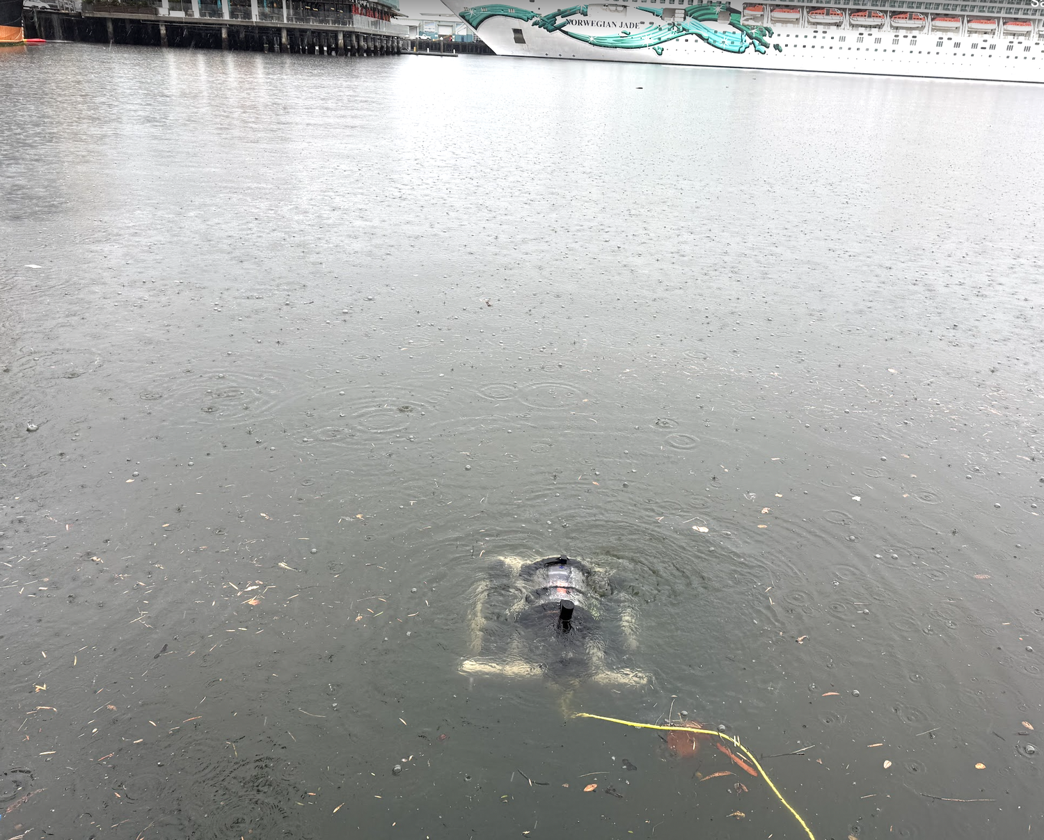 RoboSub in water