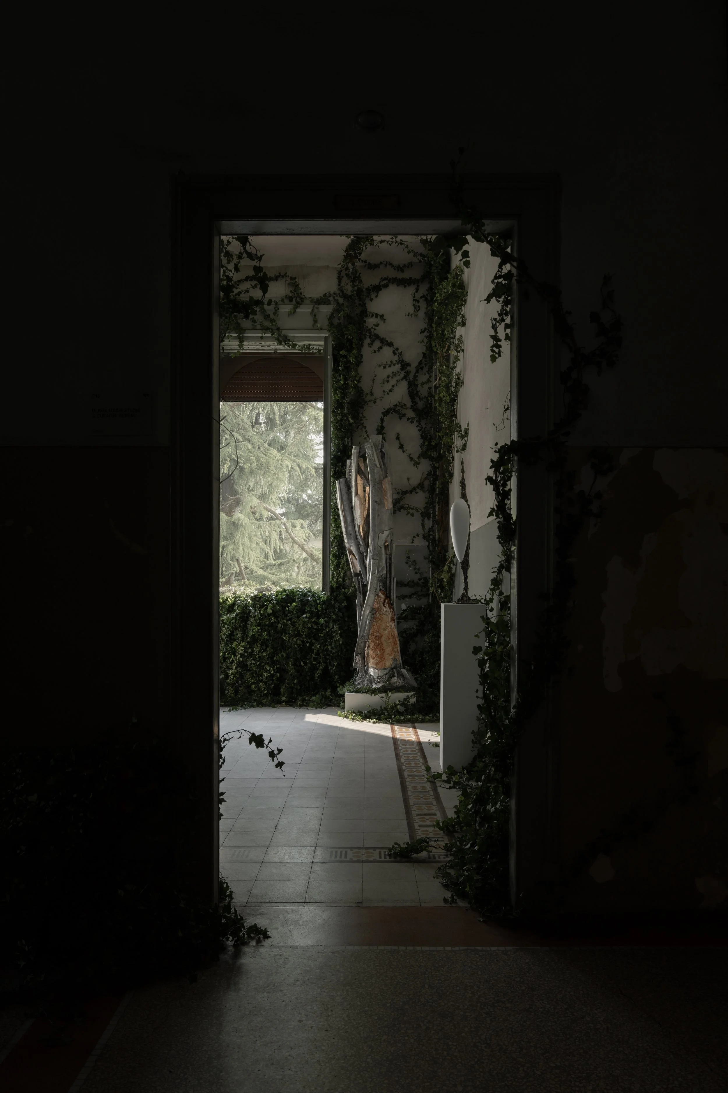 260419_OMSCB_alcova_4.jpeg