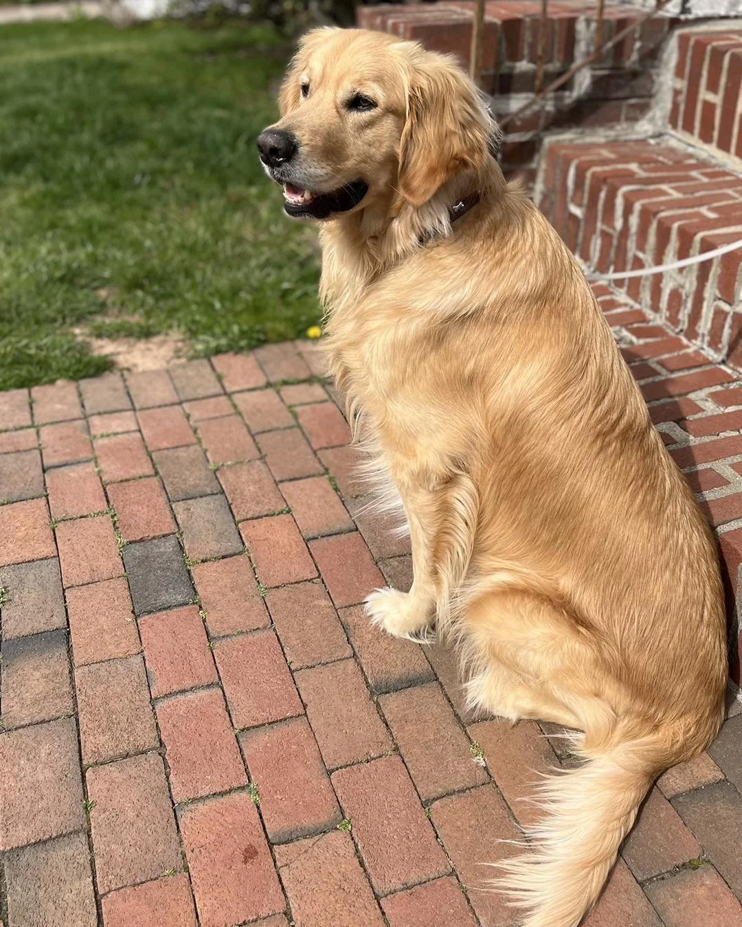 Samson