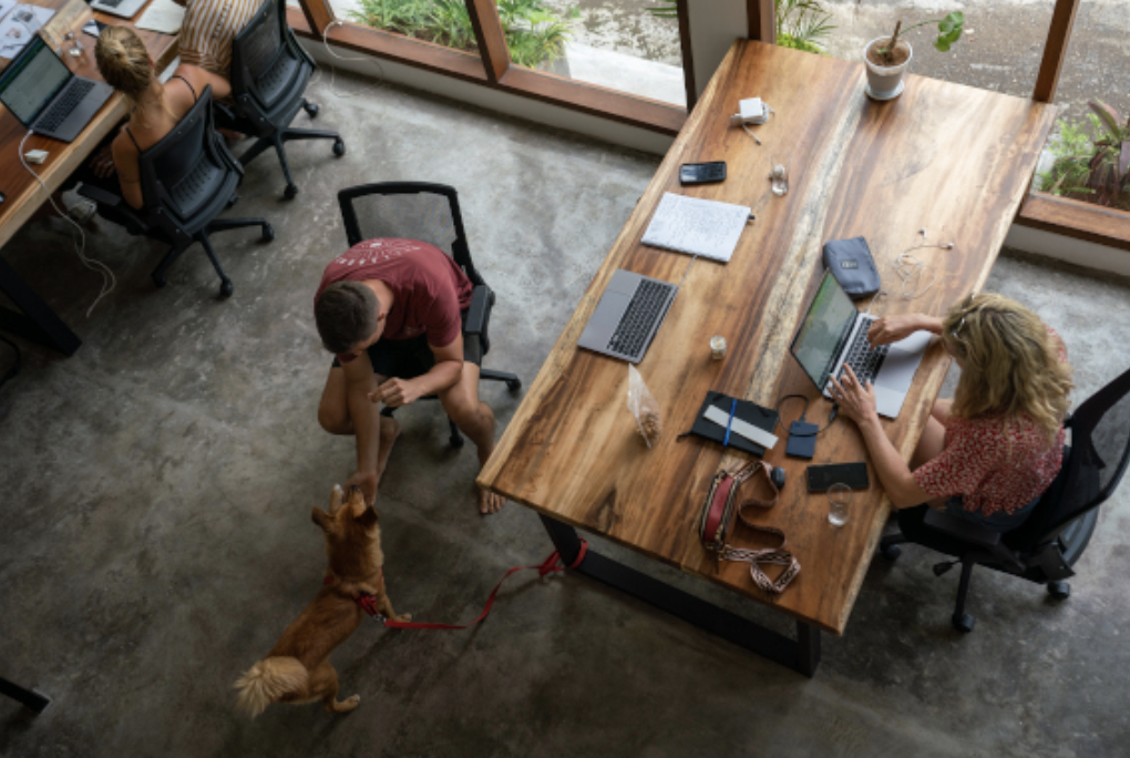 Skärmavbild 2023-09-10 kl. 11.19.21.png