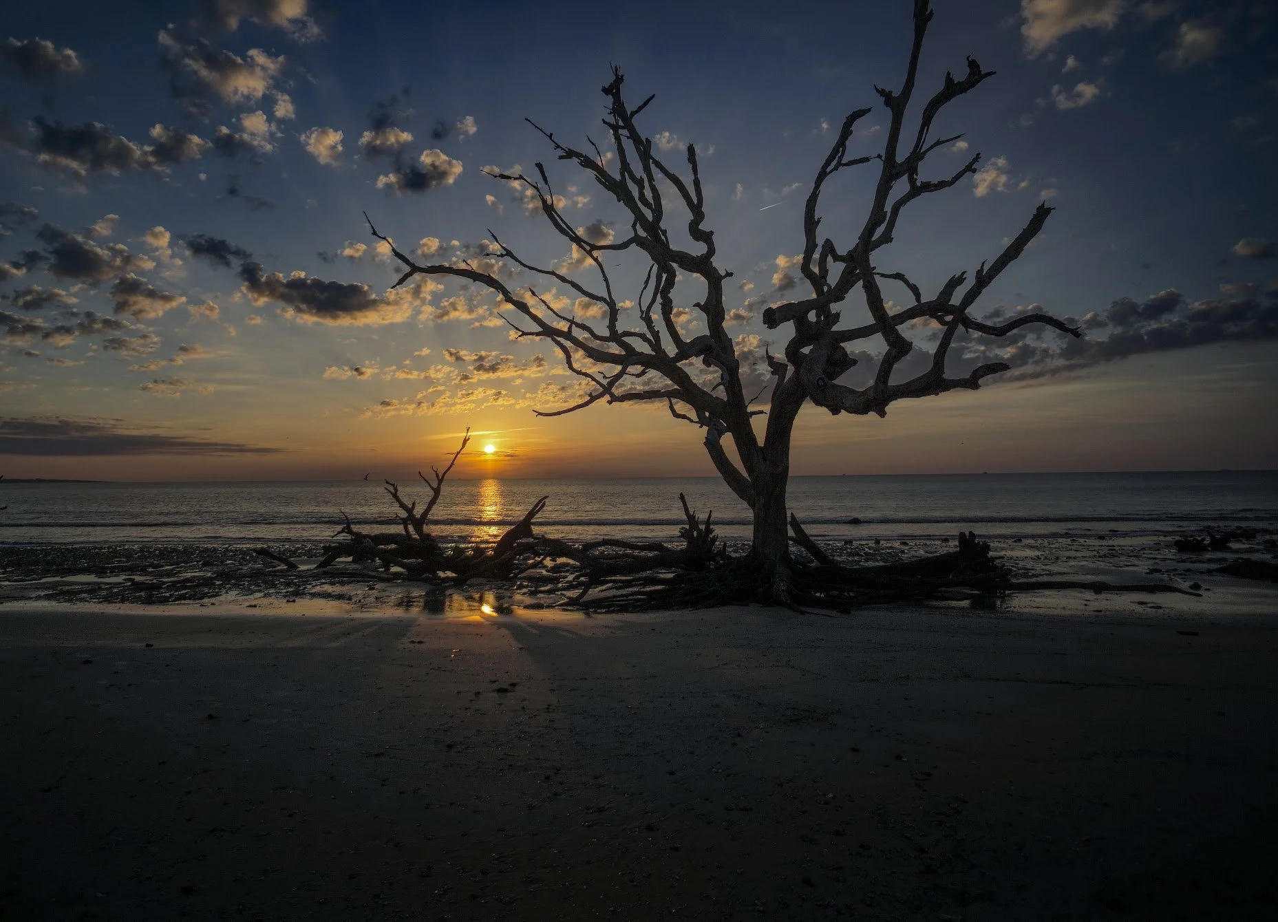 Jekyll Island beach sunrise july 2019.jpg