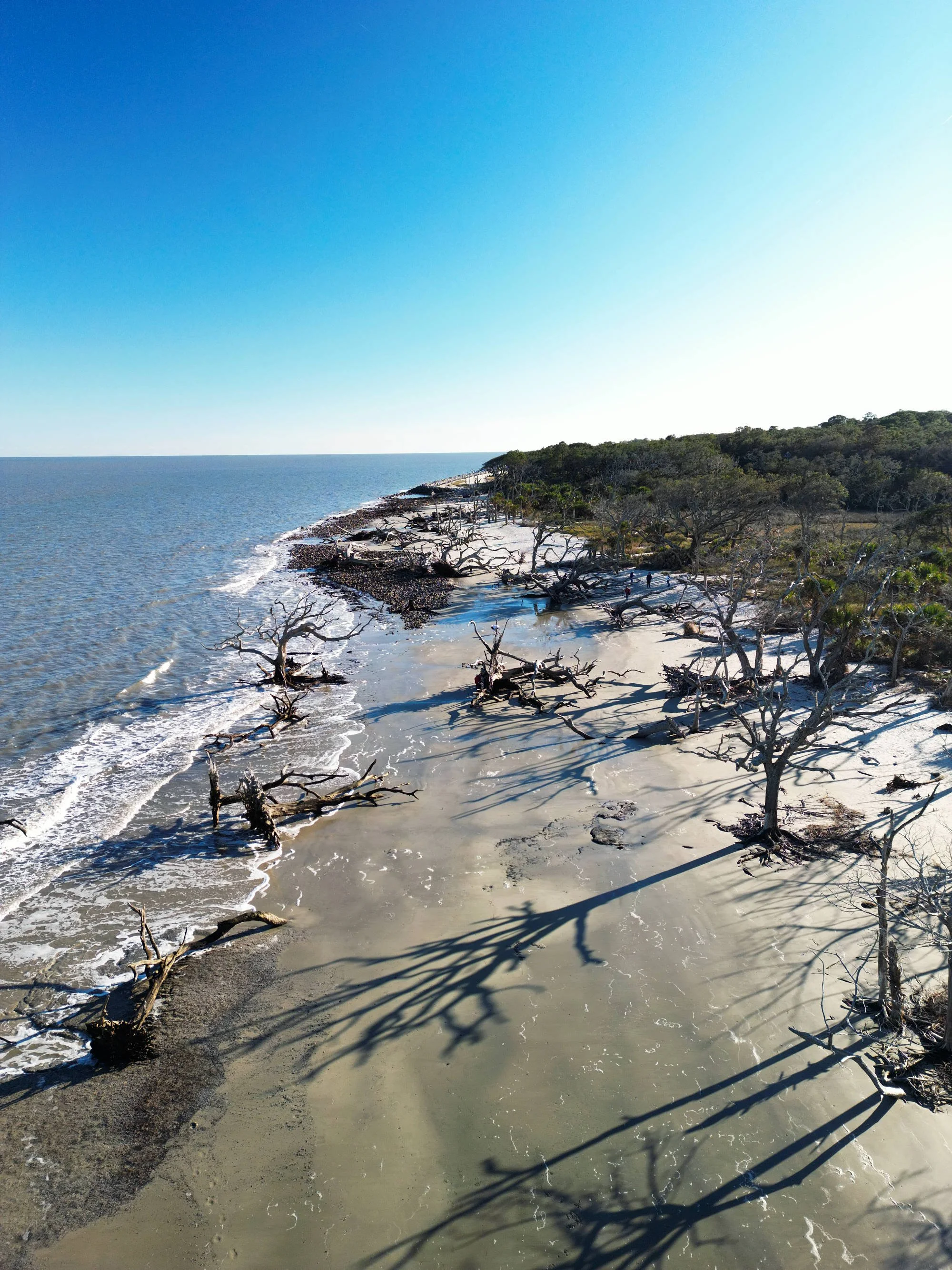 DJI_0818.jpg