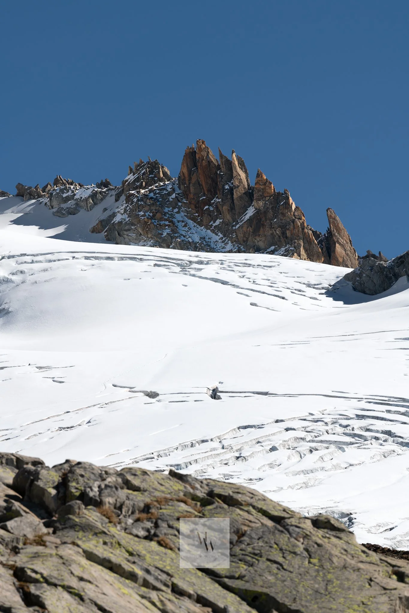 DSC_4450.jpg
