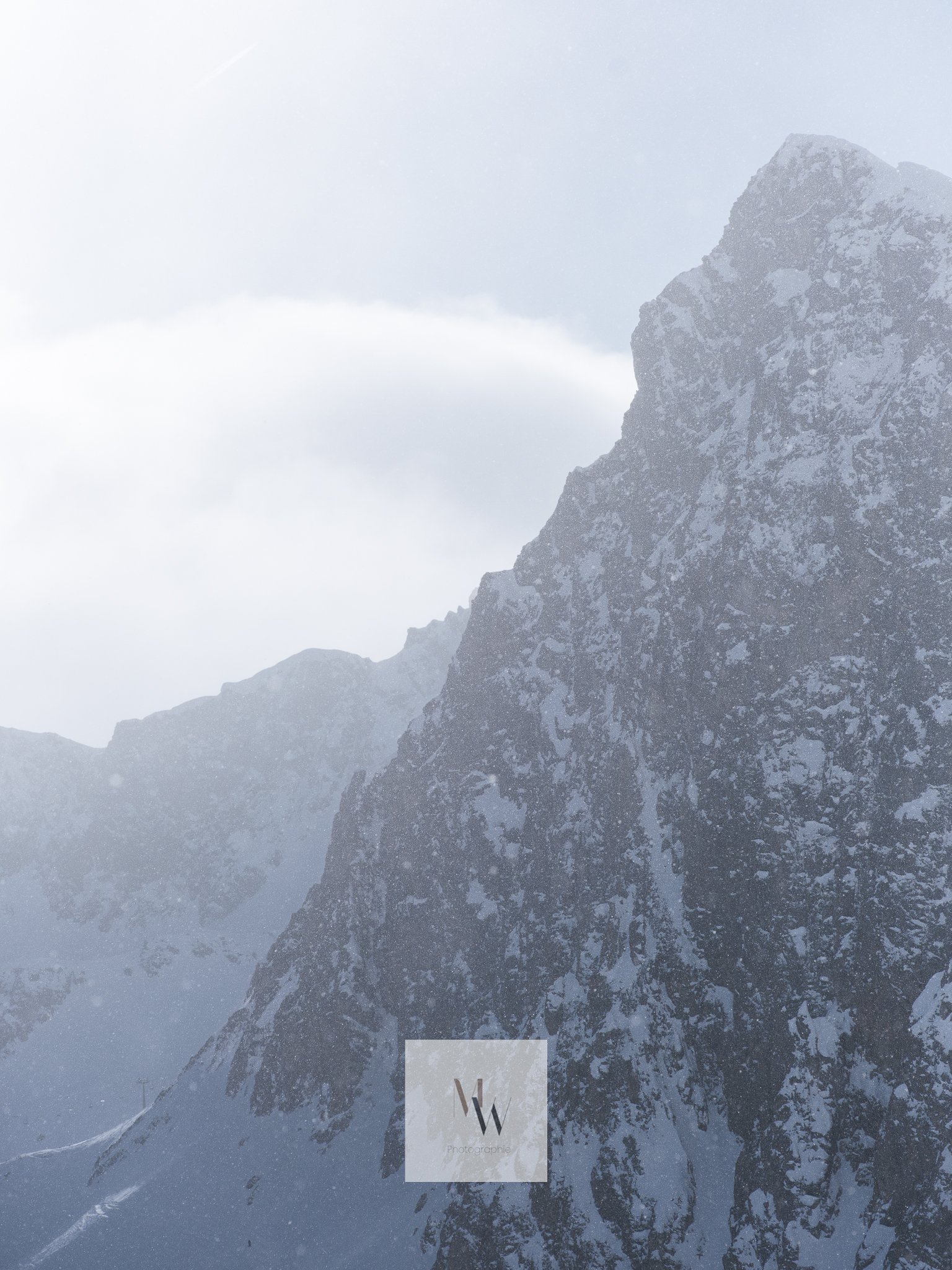 MW Photographie-16.jpg