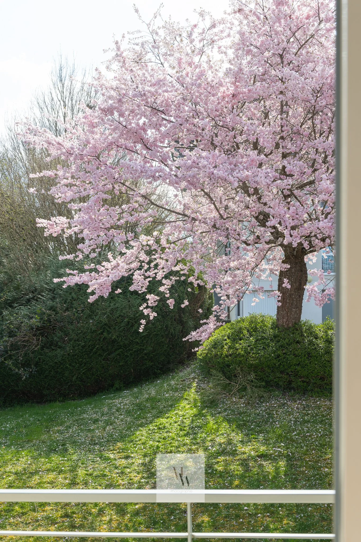 Maud Wermester Photographie, Annecy, Doussard, immobilier, Real Estate, Architecture, extérieurs