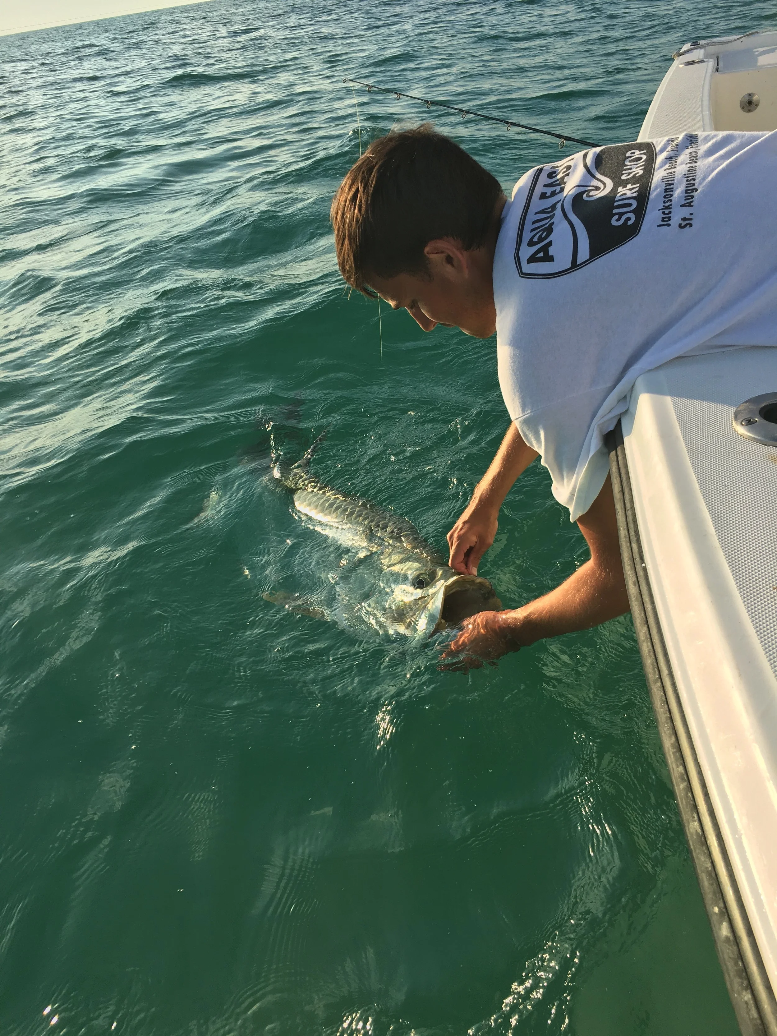 A person in a white t-shirt is releasing a fish into the water from a boat at sea during sunset.