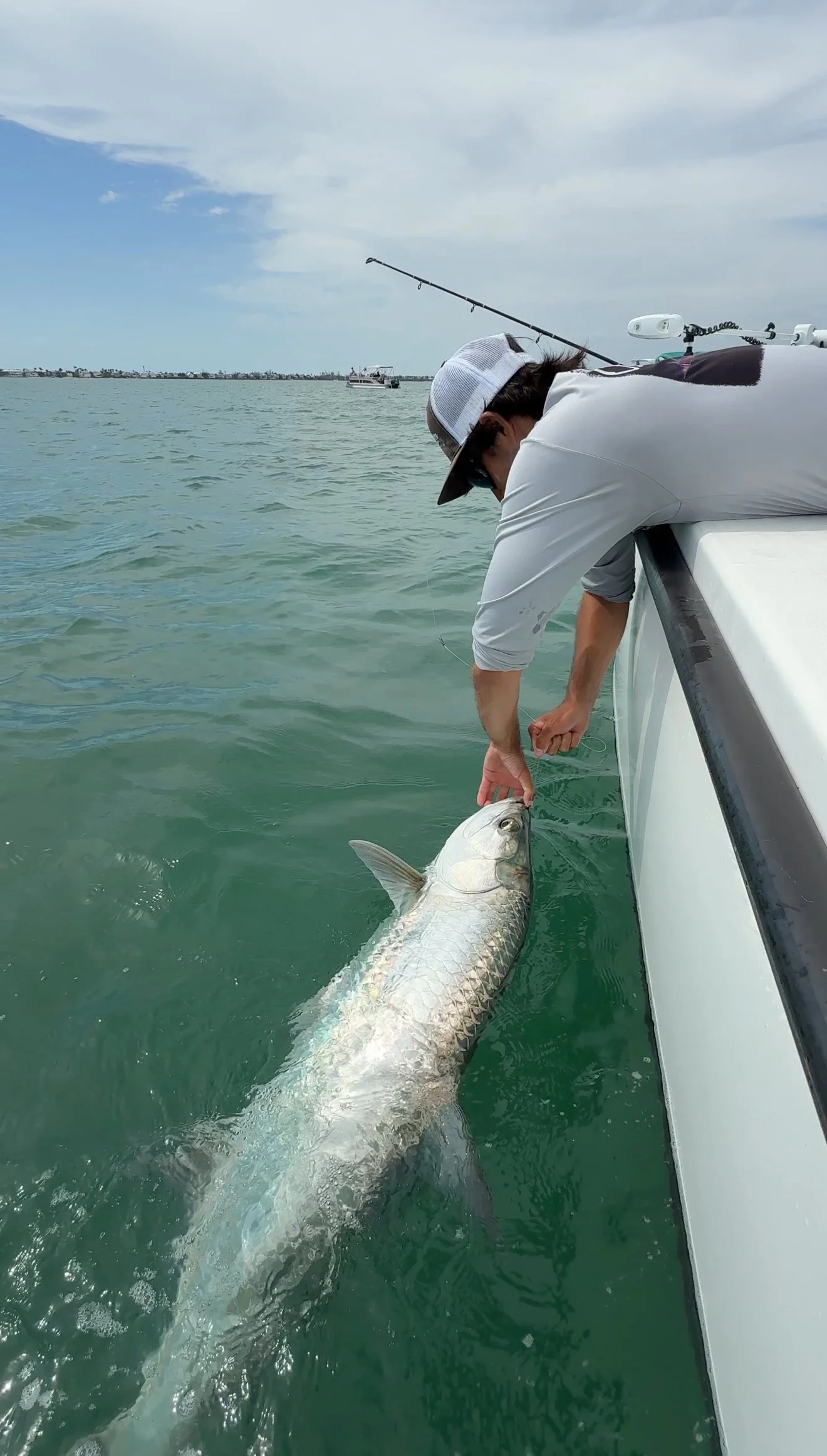 Person leaning over the side of a boat, holding a large fish in the water.