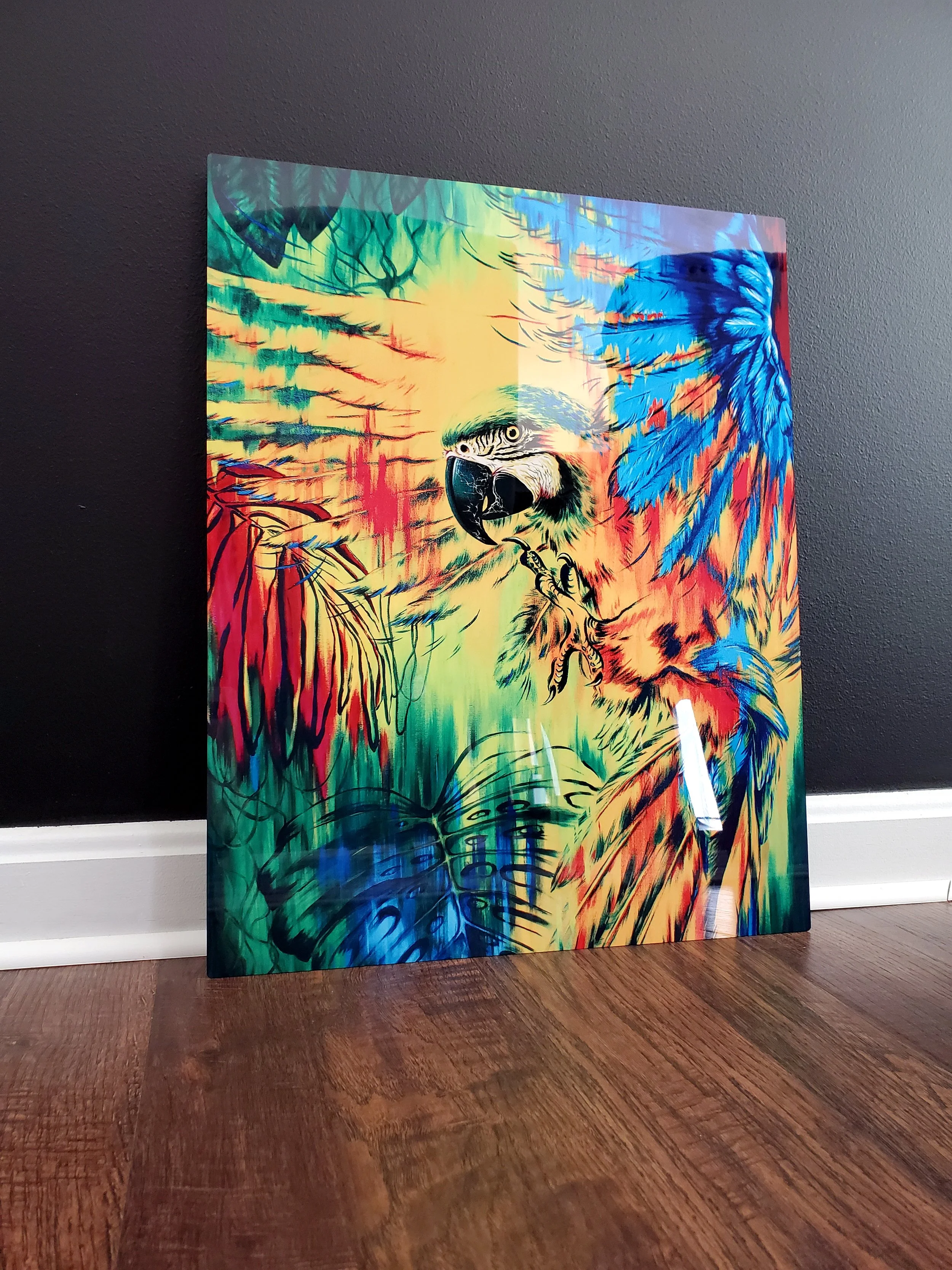 metal print of a macaw in jungle