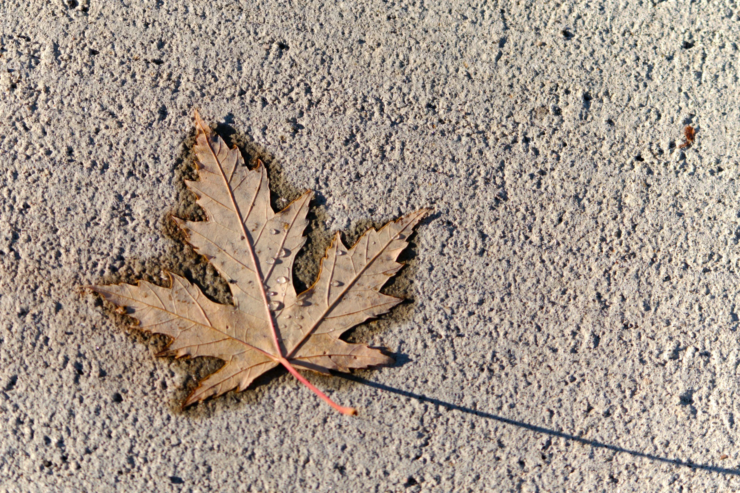 Water security: transforming challenges into opportunities