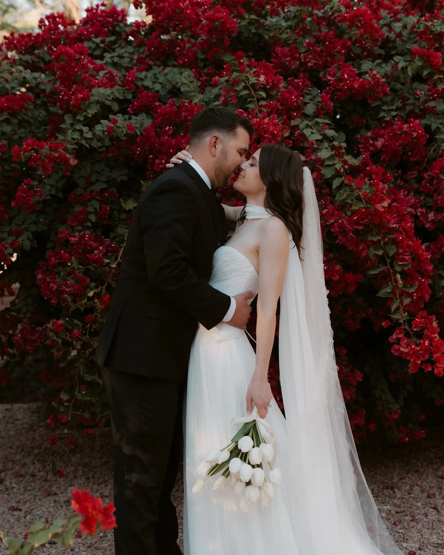 the perfect spring day wedding 🌷🤍

Venue: @weddingsatschnepffarms 
Photo: @kevynbrucephoto 
Second Shooter: @nikkihphotos 
Officiant: @arizonaweddingofficiant_ 
Content: @theforevercollective_ 
HMUA: @lissetcuevasartistry 
DJ: @djjmcwhite 
Cake: @h