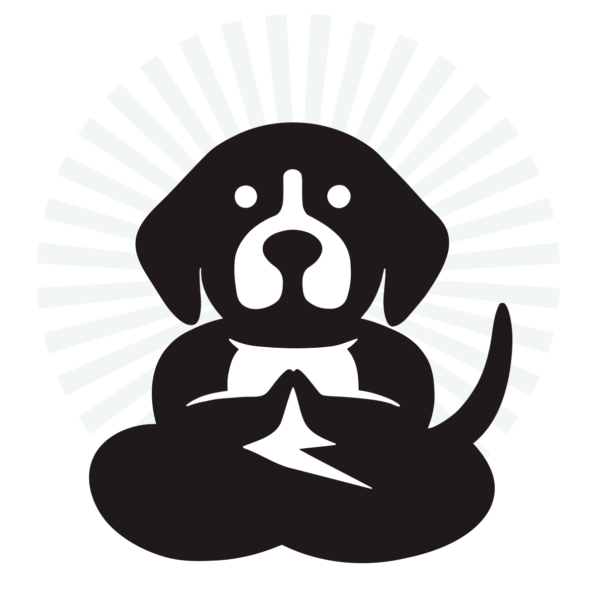 Serenity Dog Training • InHome Dog Training • 3132071175