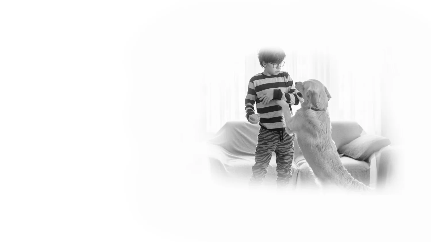 Jumping — Serenity Dog Training