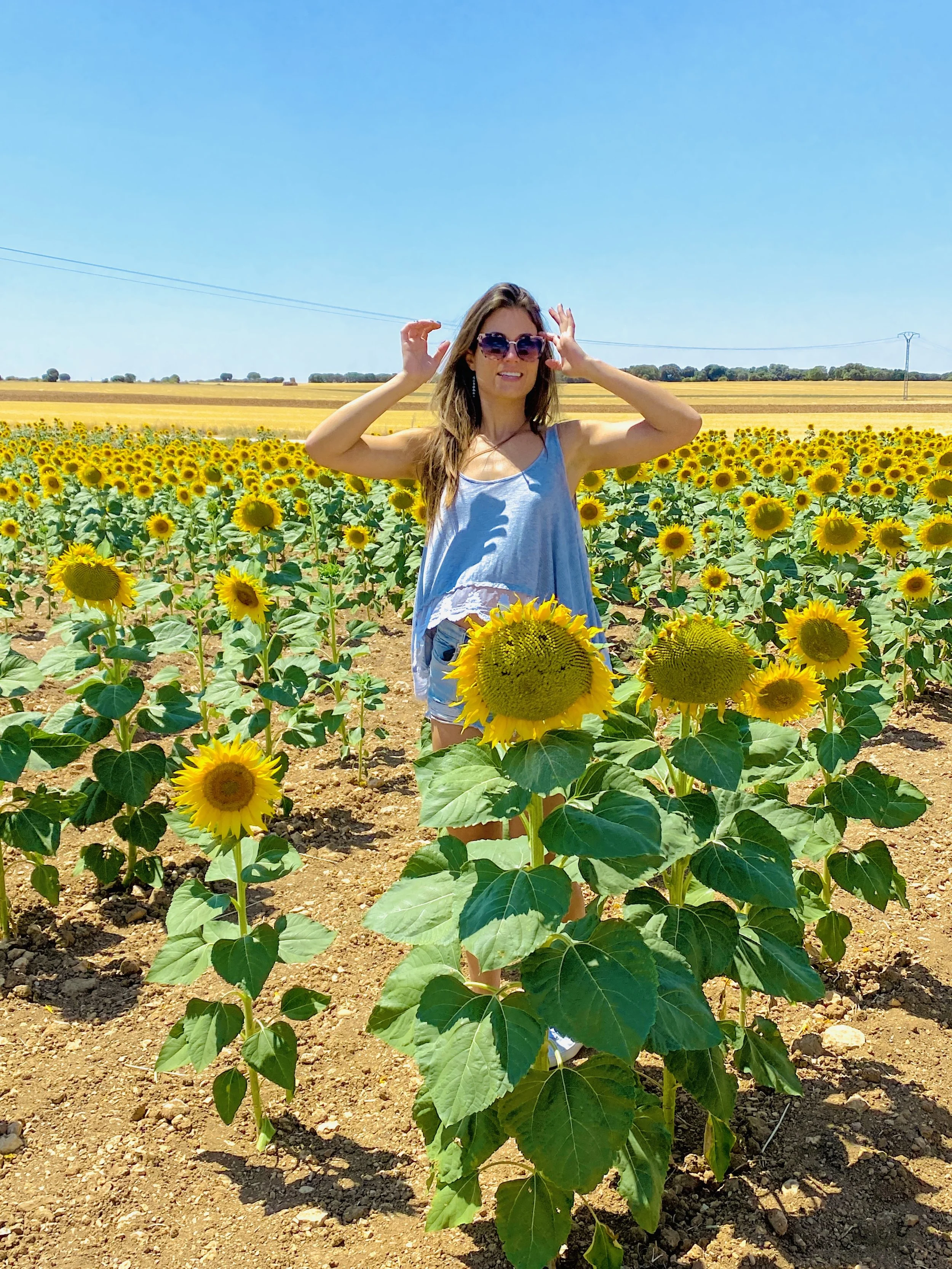 Stefanie standing in a Spanish sunflower field