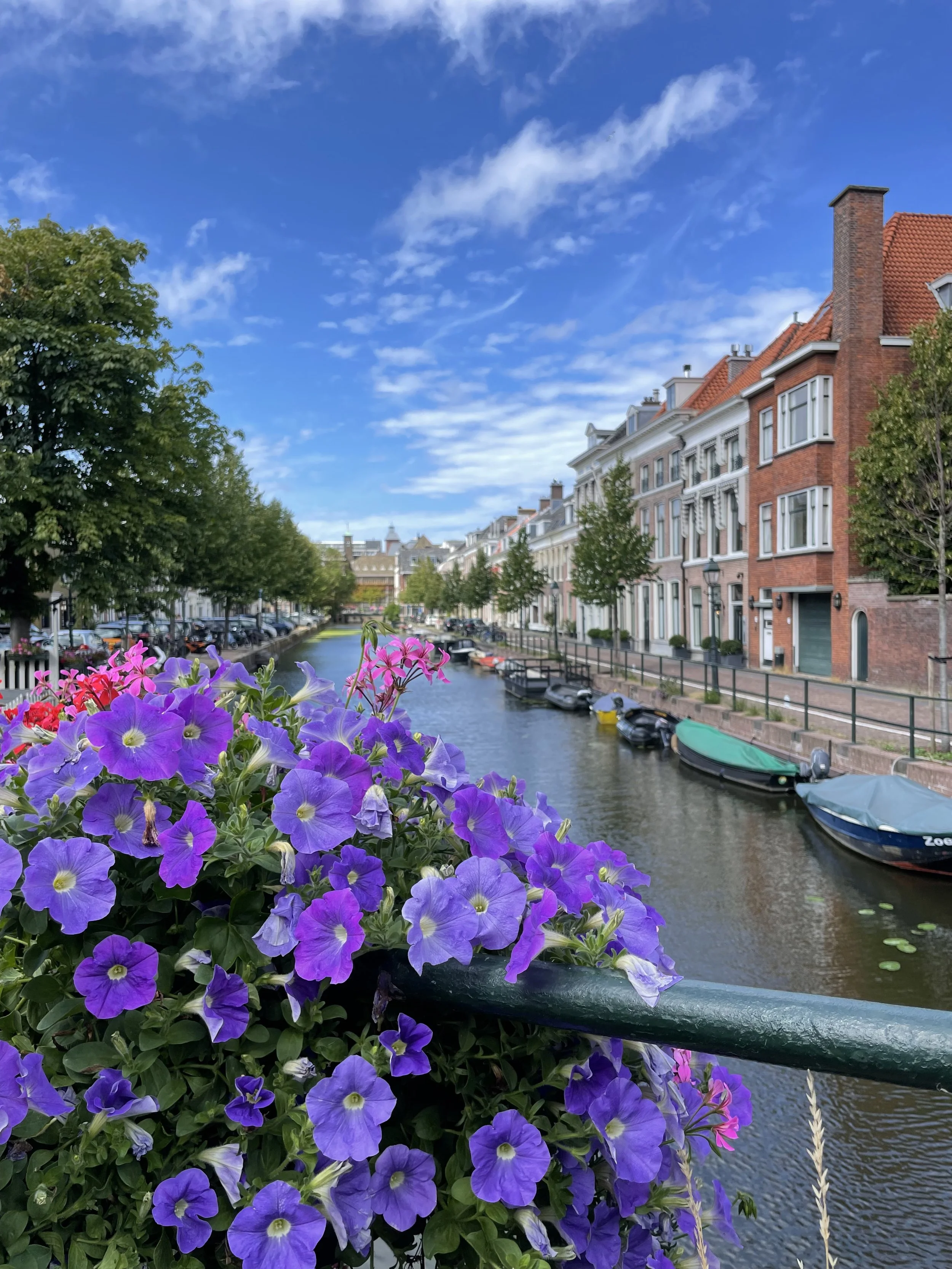 Professional copywriting services for luxury travel brands