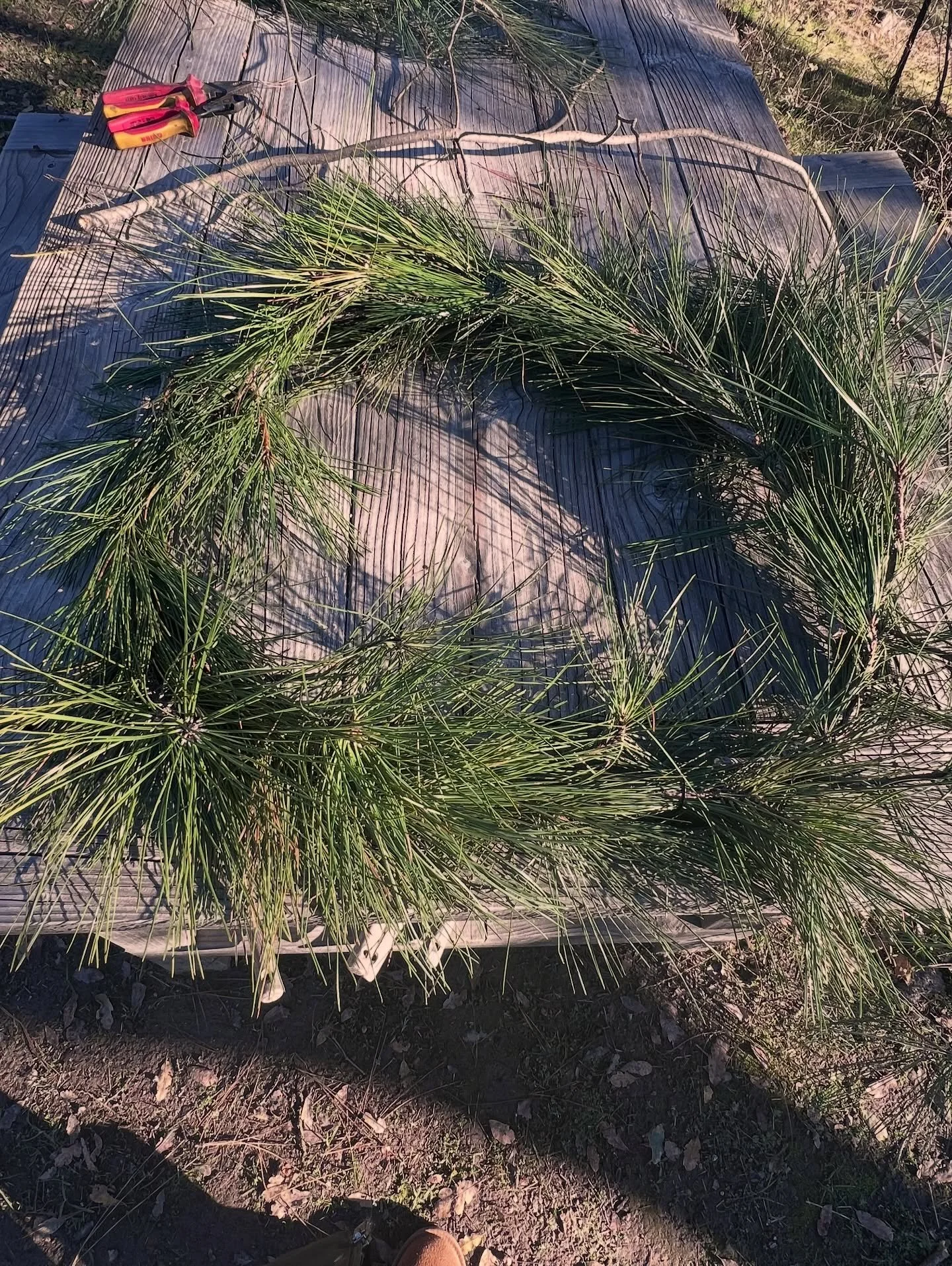 A round up of November and some snippets of my life in its richness.
I shifted (again) and I&rsquo;ll never get tired of meeting new parts of myself 
Or saying thank you to the parts I choose to shed in order to become.

#shiftingrealities #sovereign