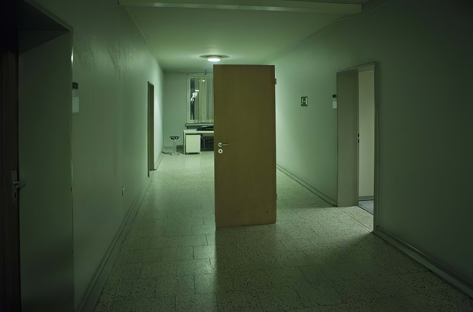 SchauspielHaus köln_Hundsprozesse4_(c)Signa-Erich Goldmann.jpeg