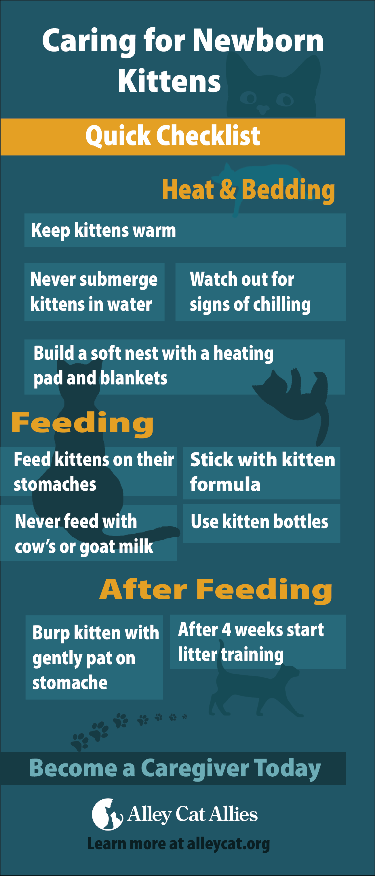 caring for kittens ACA.png