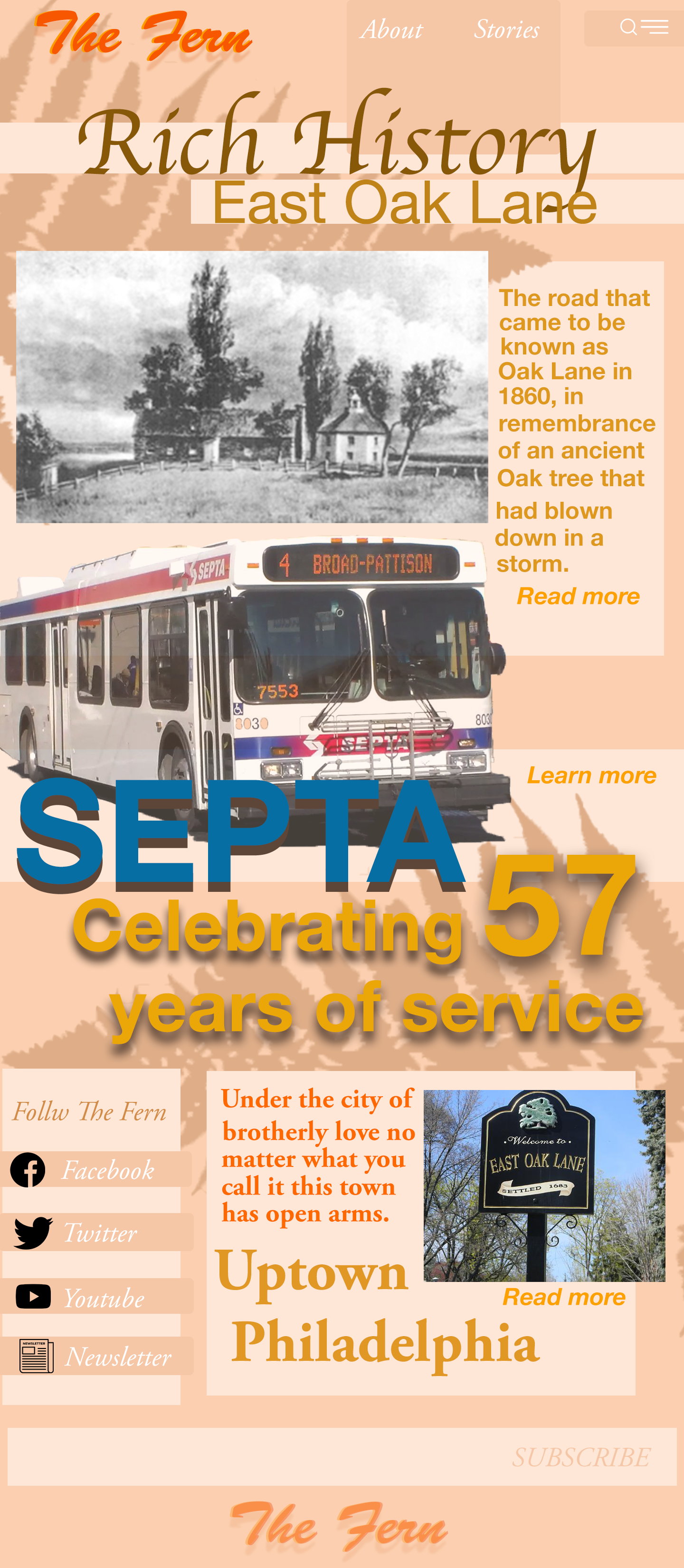 Conent landing page Fern .png