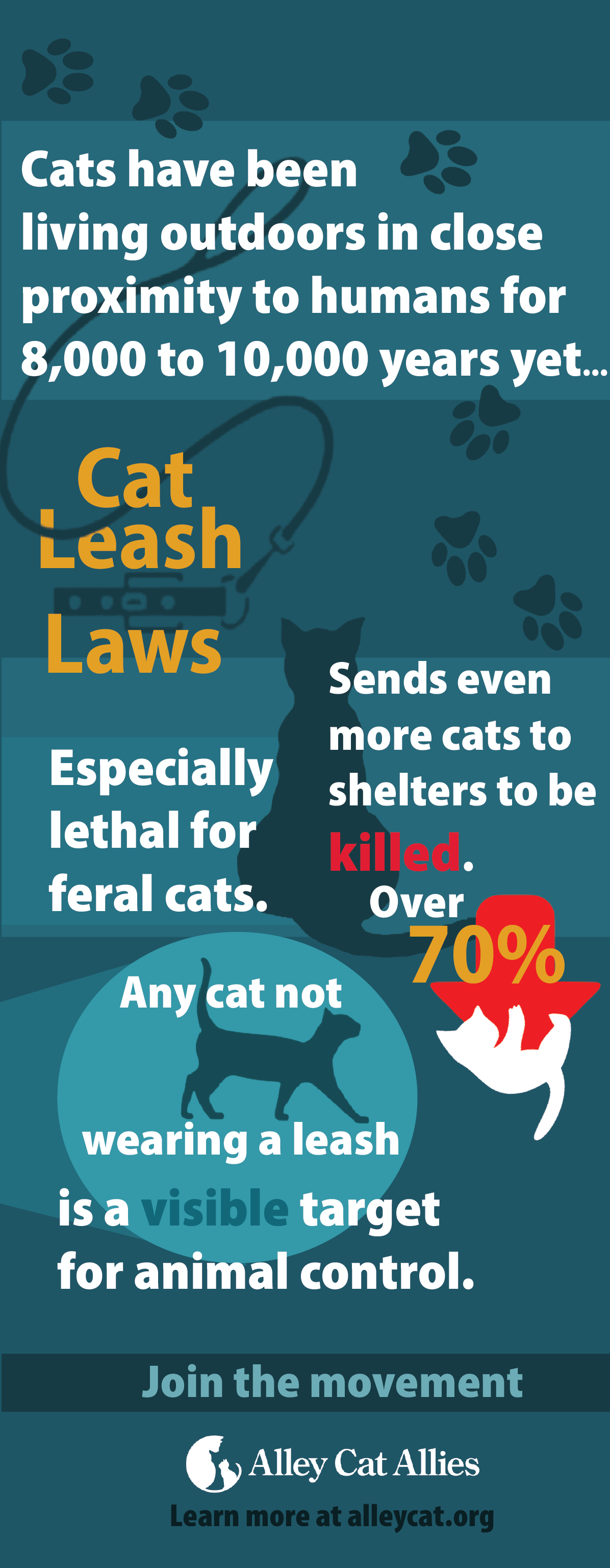 Cat Leash Laws ACA.png