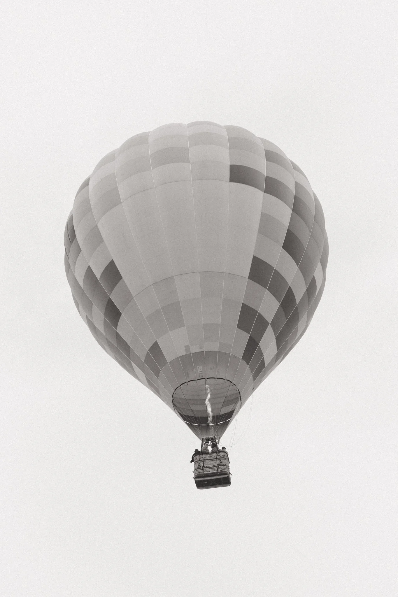 CM5A8243-2.jpg