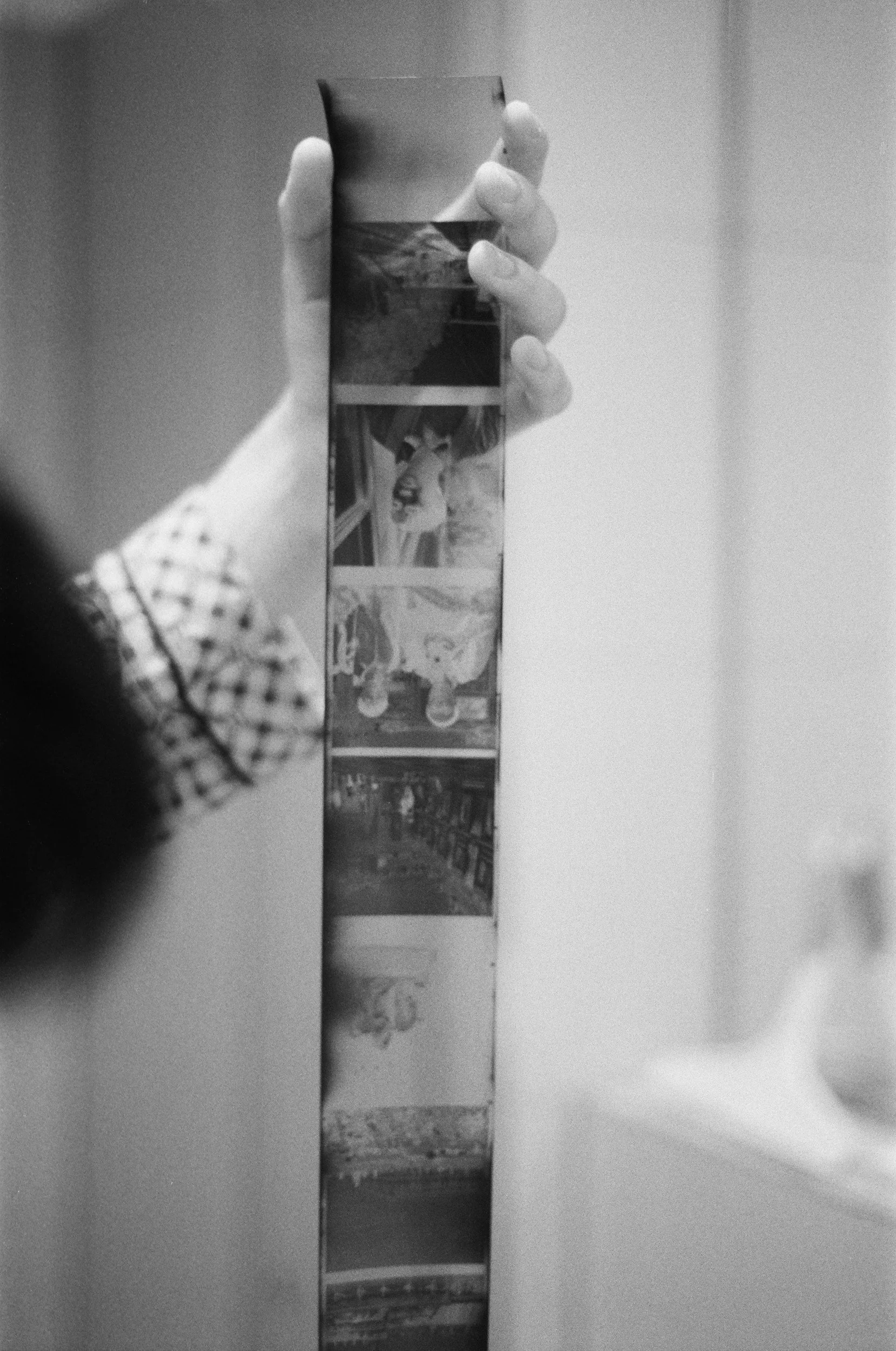 A person's hand holding a strip of photographs, with the hand wearing a checkered shirt sleeve, in black and white.