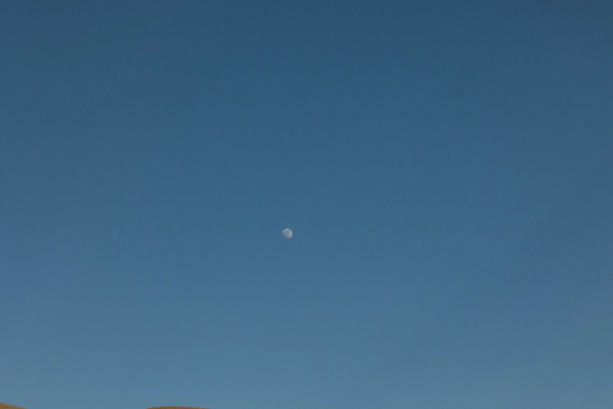 CM5A9743.jpg