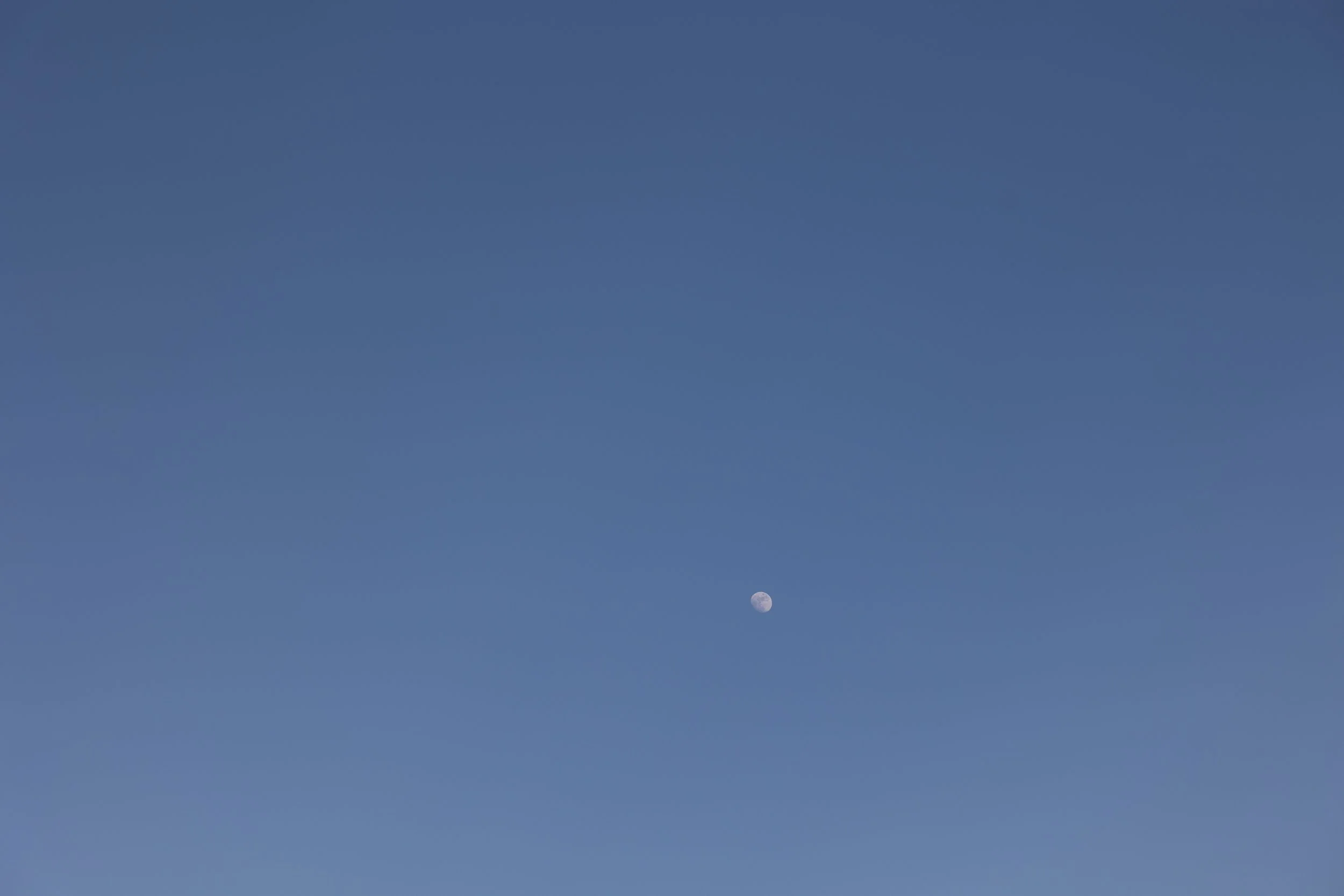 CM5A9931.jpg
