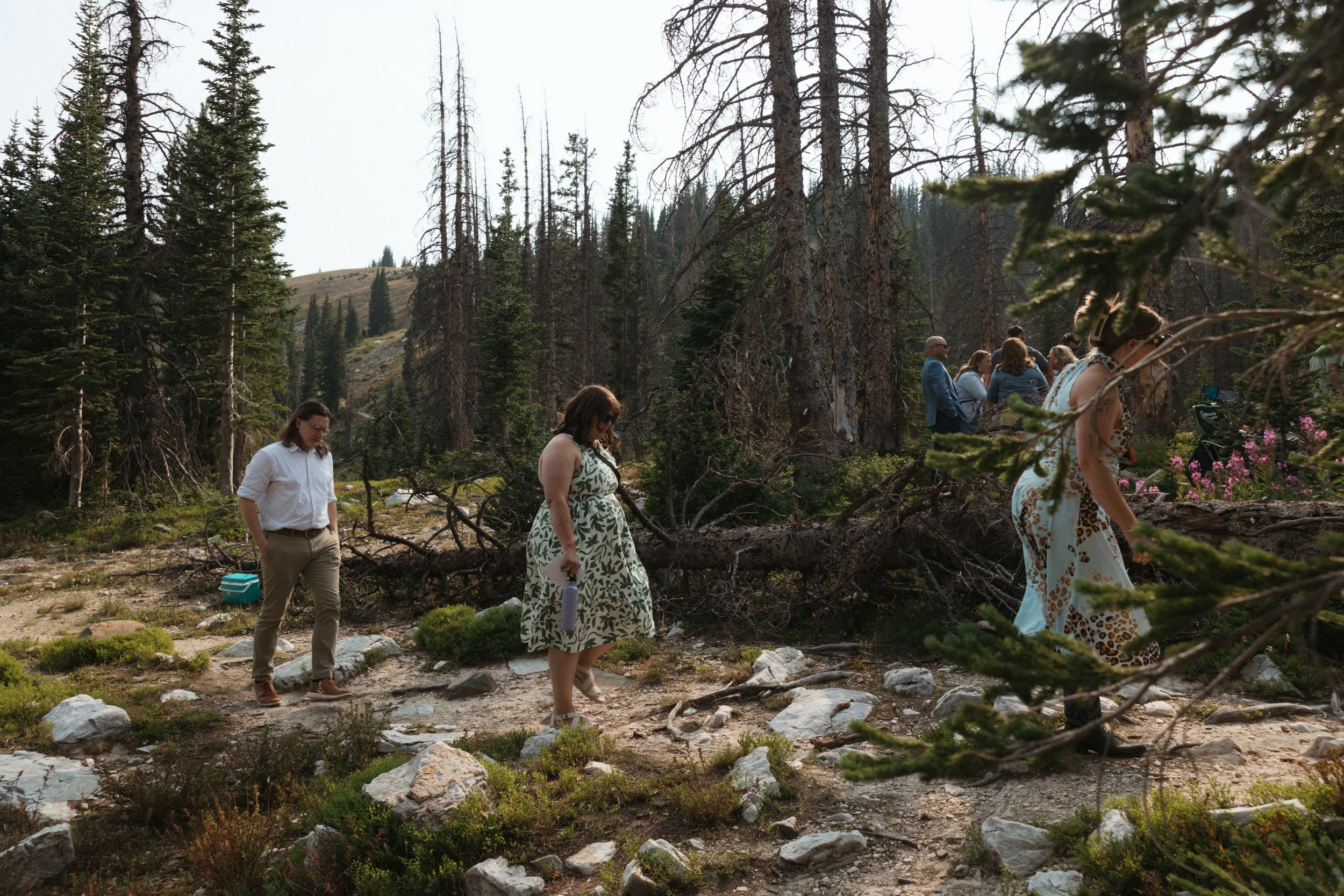 C+KWedding-140.jpg