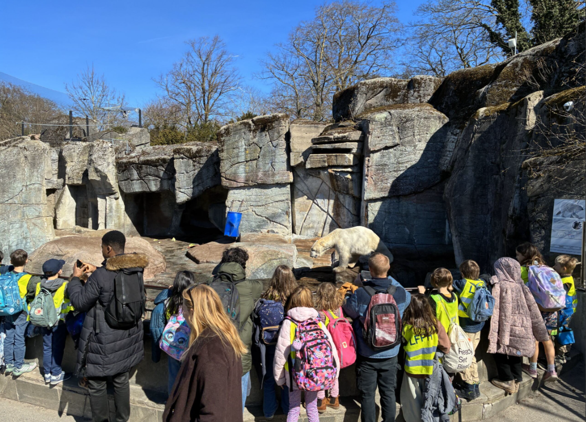 Screenshot 2026-04-10 14.37.31.png