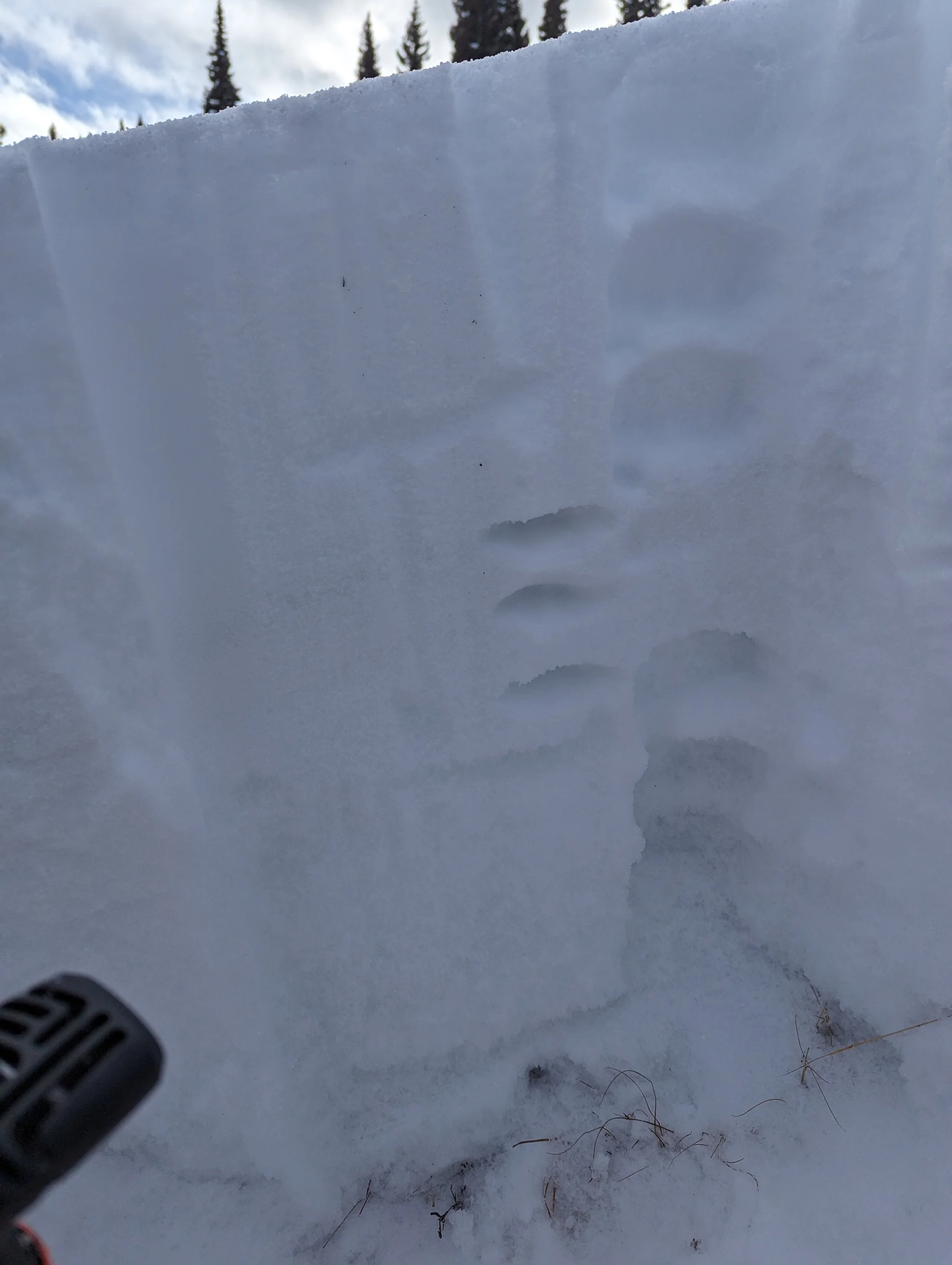 PXL_20230110_205753625.jpg