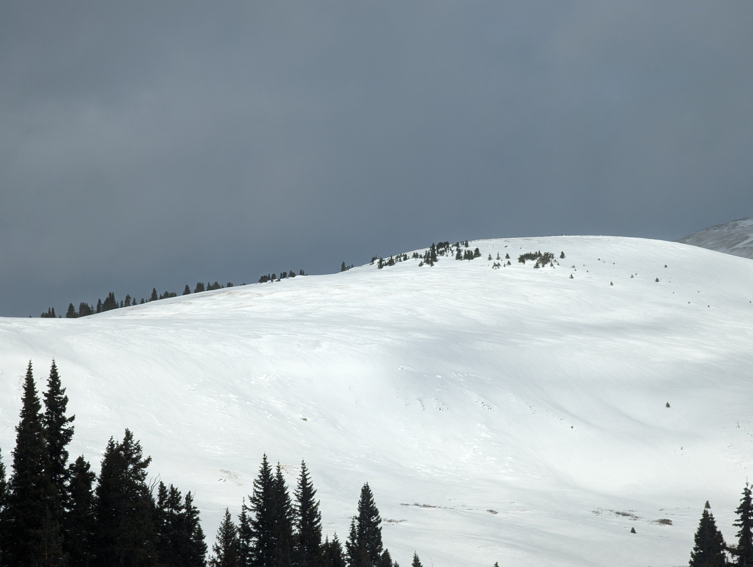 PXL_20230110_211959934.jpg