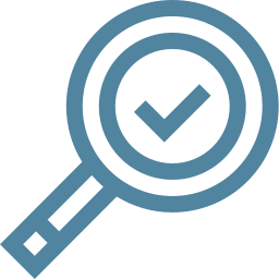 Inspection icon
