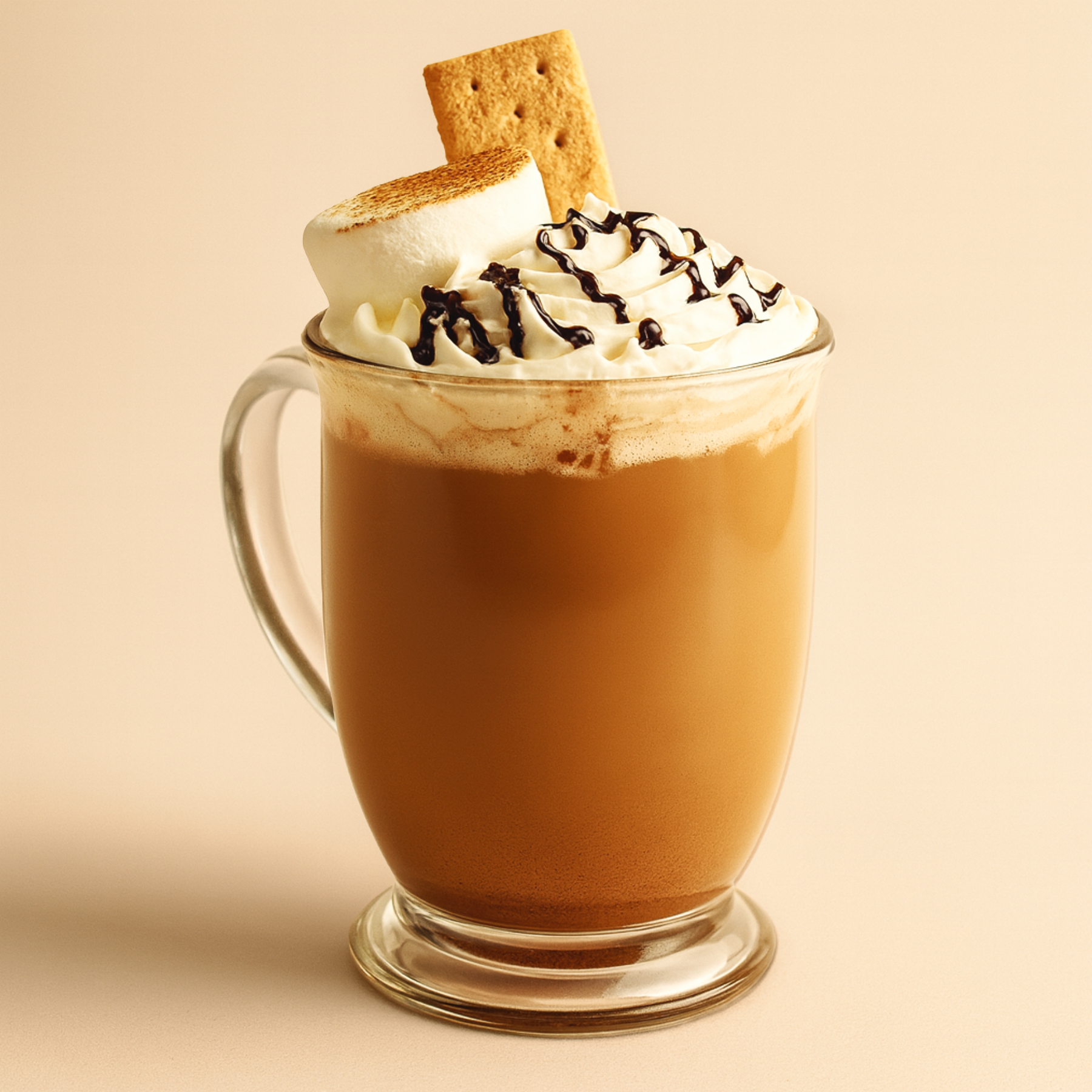 Hot chocolate in a glass mug topped with whipped cream, chocolate syrup, a graham cracker, and a toasted marshmallow.